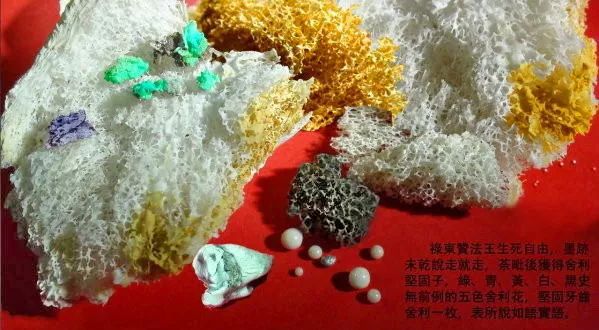 有些人，比猪还笨！【摧邪显正】-图片2